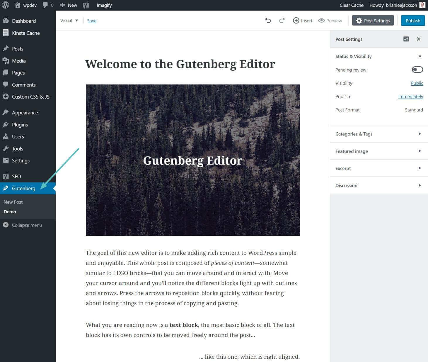gutenbergditor demo