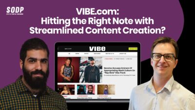 VIBE 拆解